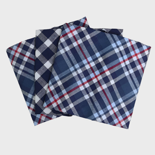 Blue/ Red Check Handkerchiefs