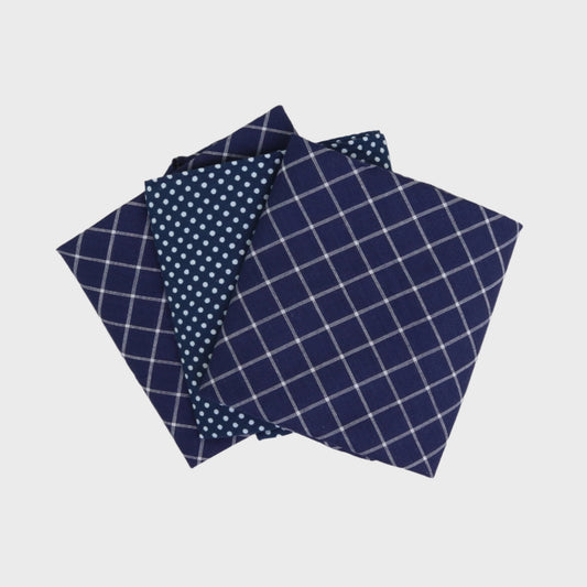 Blue Check/Spot Handkerchiefs