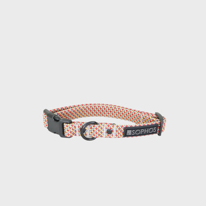 Rope Dog Collar Multicoloured